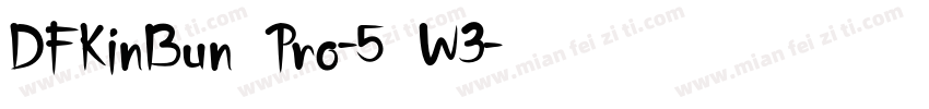DFKinBun Pro-5 W3字体转换